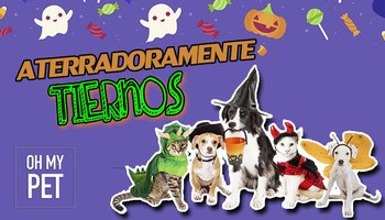 Oh My Pet  Halloween MX